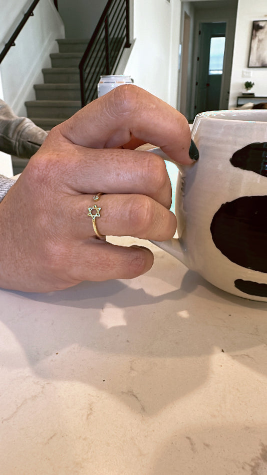 The Aviv Ring
